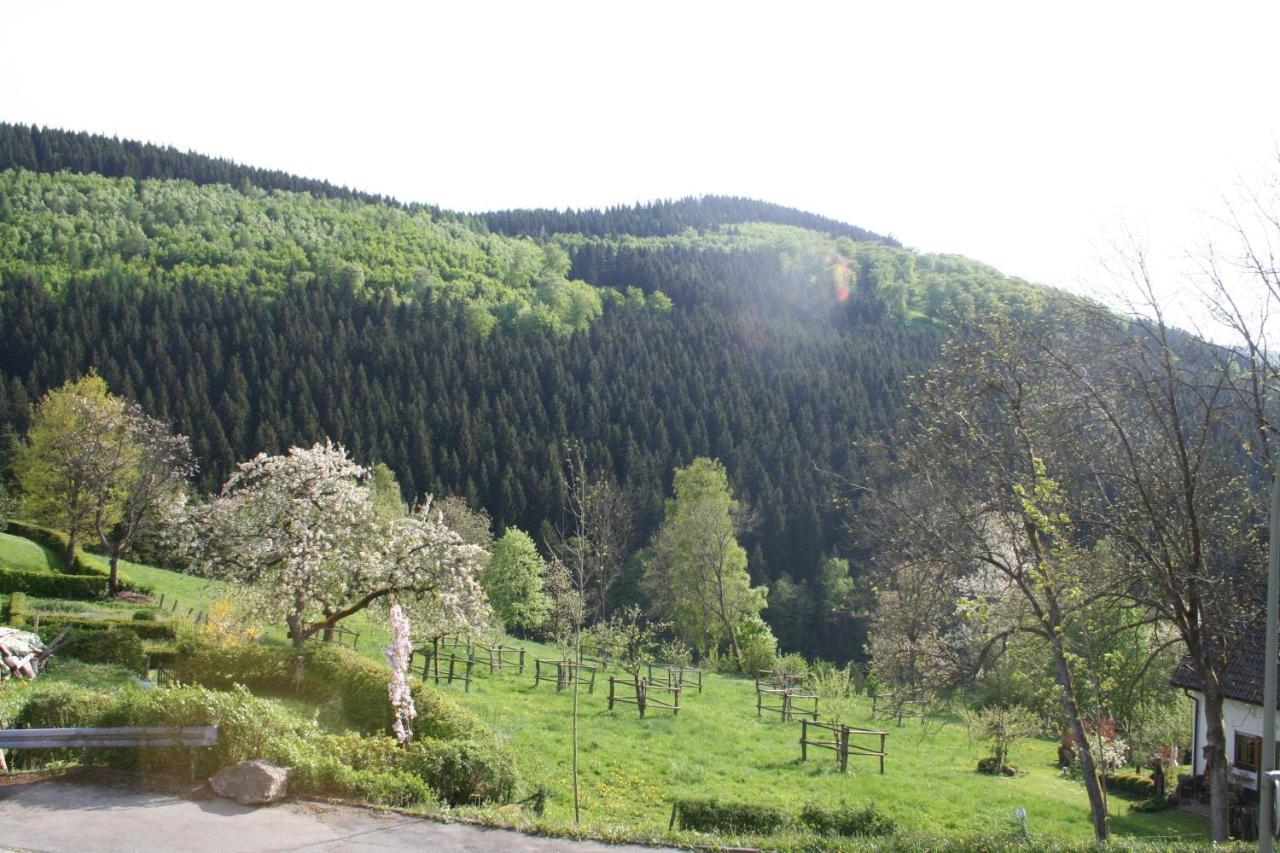 Landhaus Gnacke Schmallenberg Luaran gambar