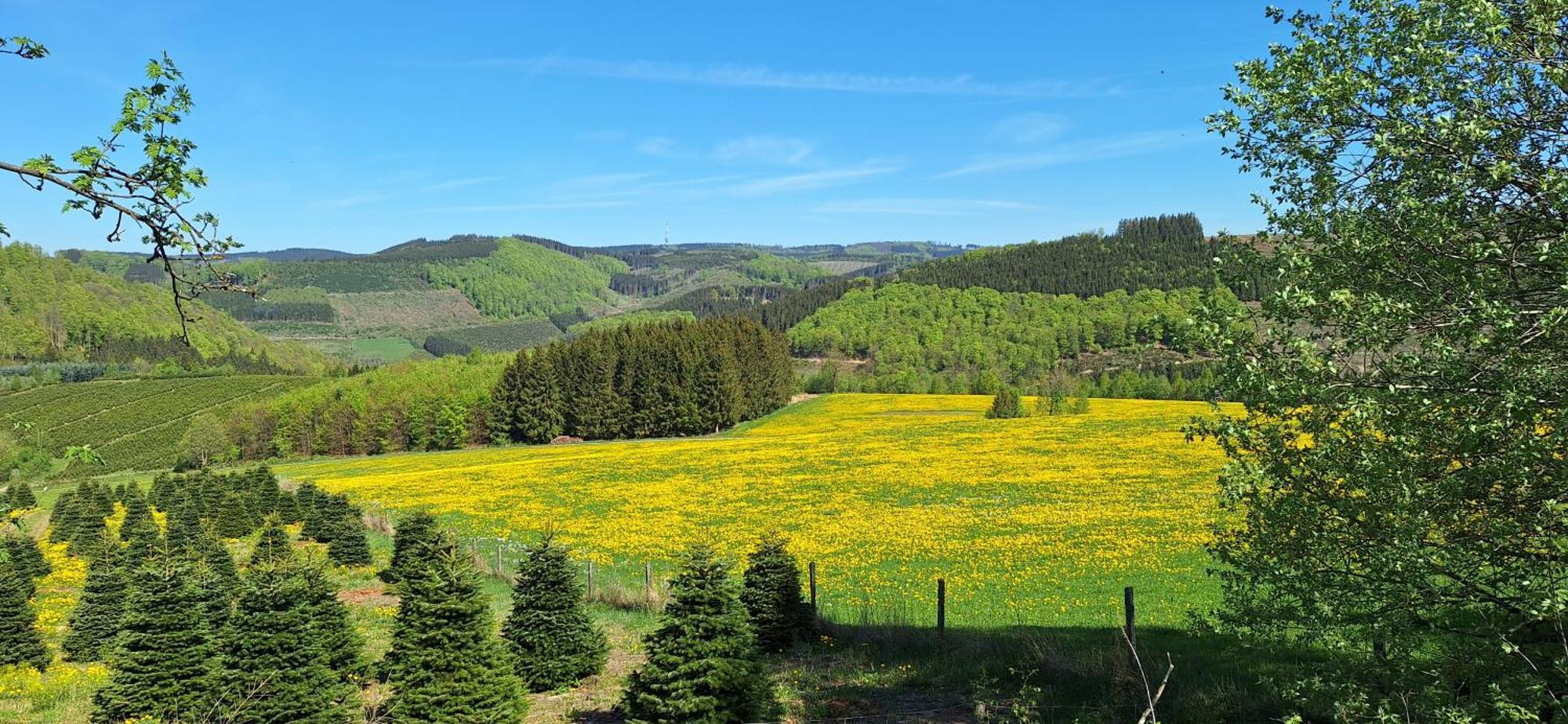 Landhaus Gnacke Schmallenberg Luaran gambar